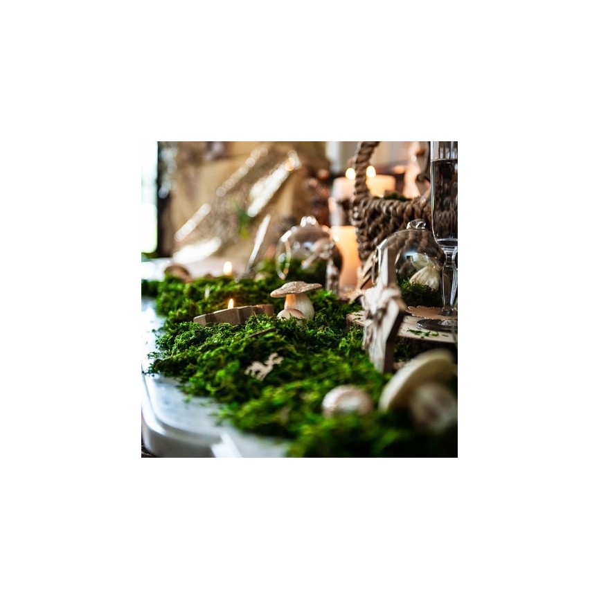 Semi Dry Natural Moss 50g