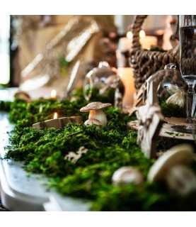 Semi Dry Natural Moss 50g