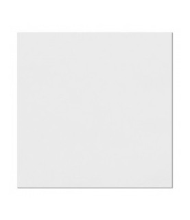 20 White Lunch Napkins