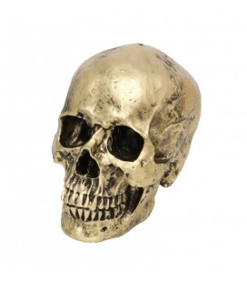 Bronze Skull