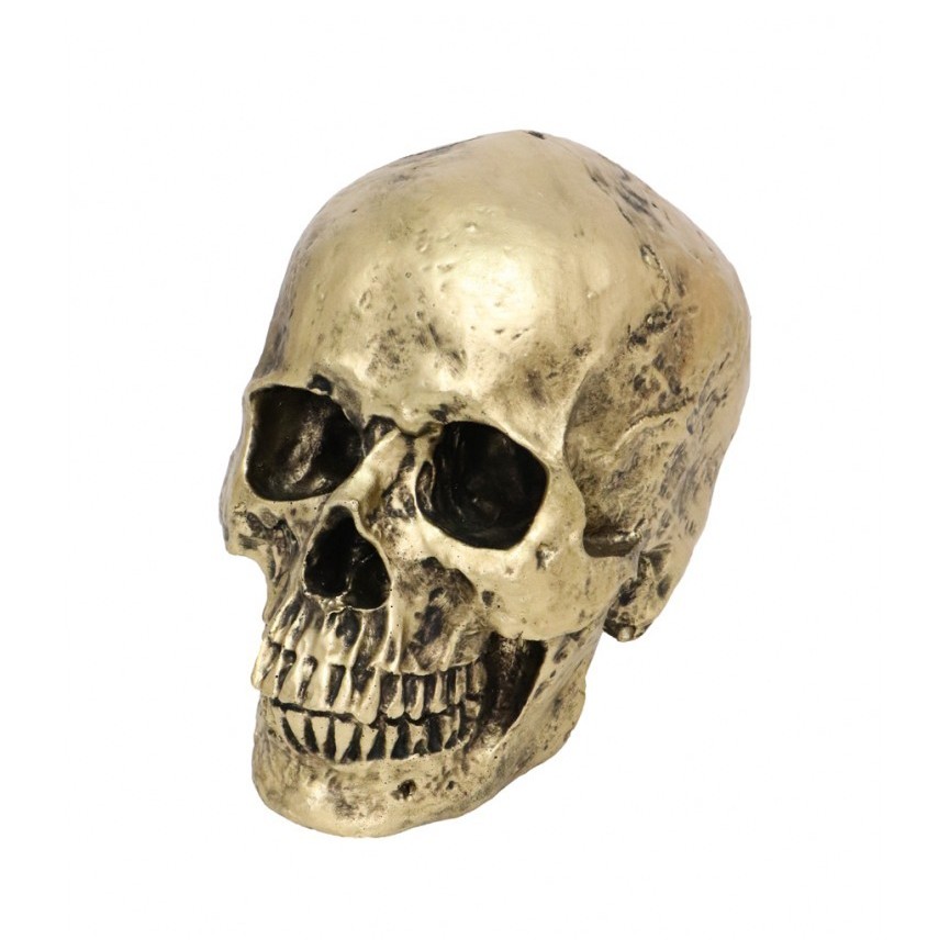 Bronze Skull