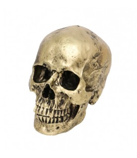 Bronze Skull