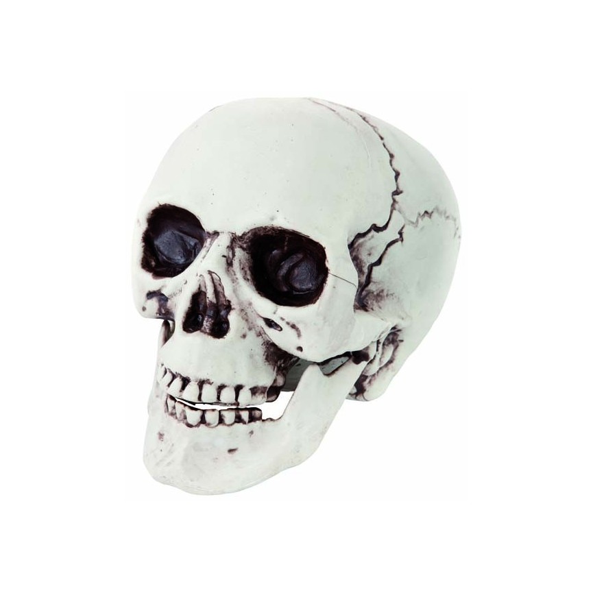 Plastic Skull