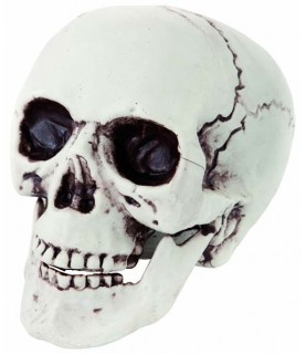 Plastic Skull