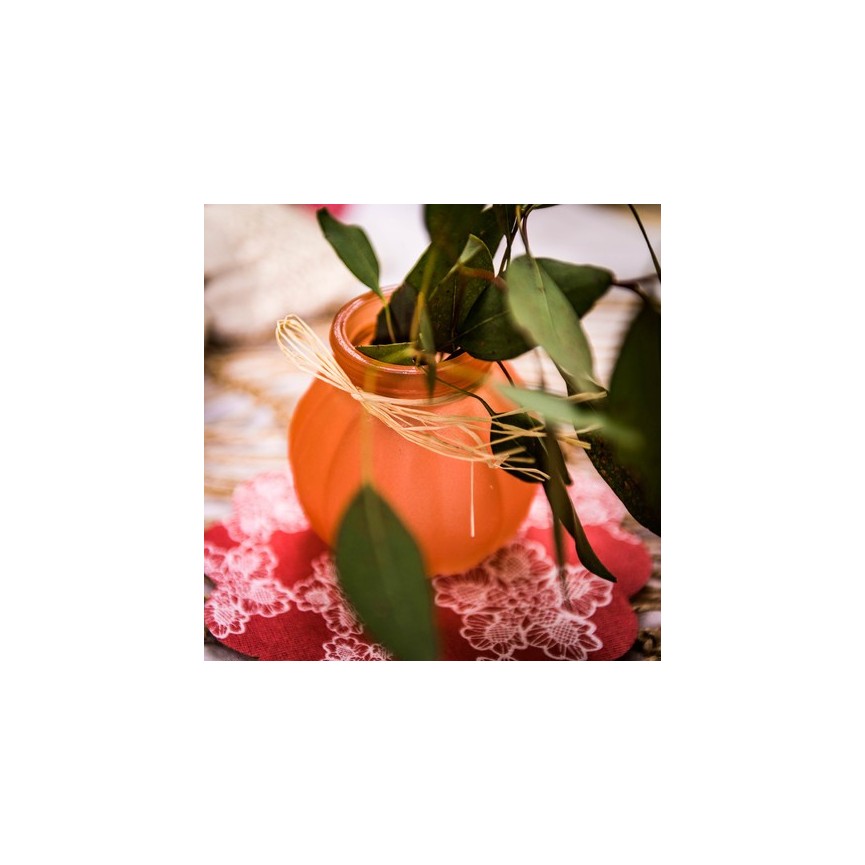 Peach Vase Peach Vase