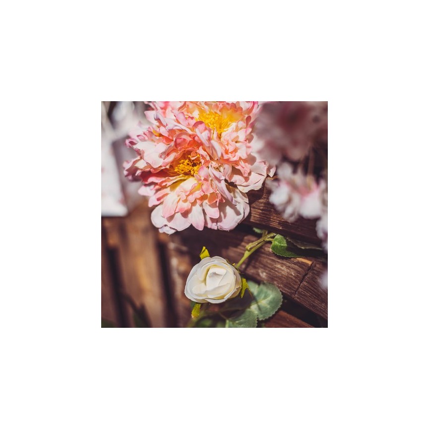 3 Pink Peonies Bouquet