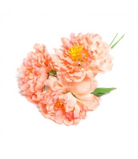 3 Pink Peonies Bouquet