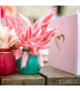 Coral Vase