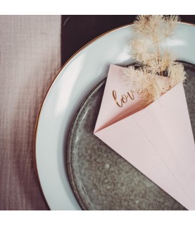 10 Powder Pink "Love" Cones